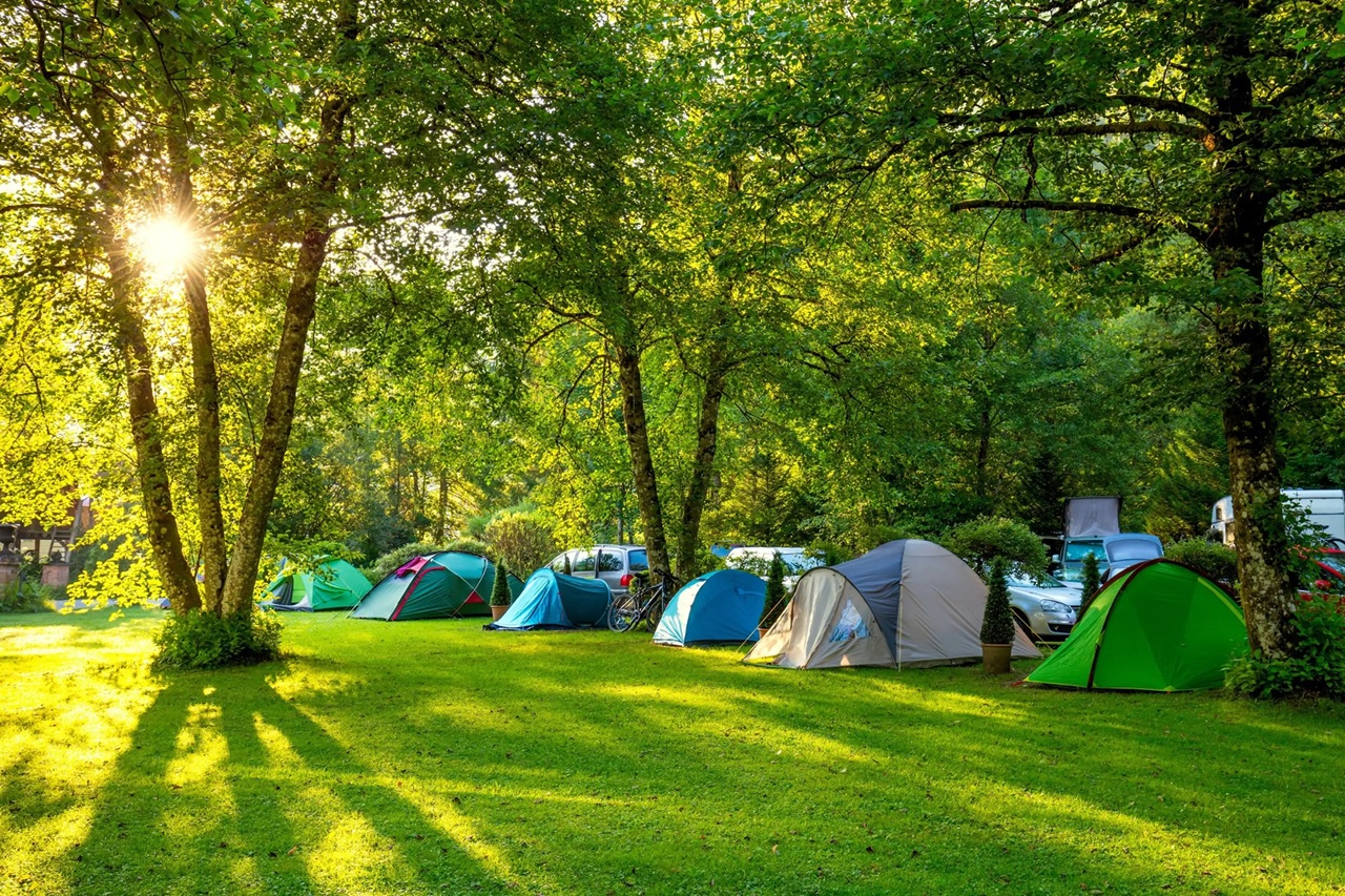 TodoCampingPro — Tu tienda de camping y aventuras al aire libre